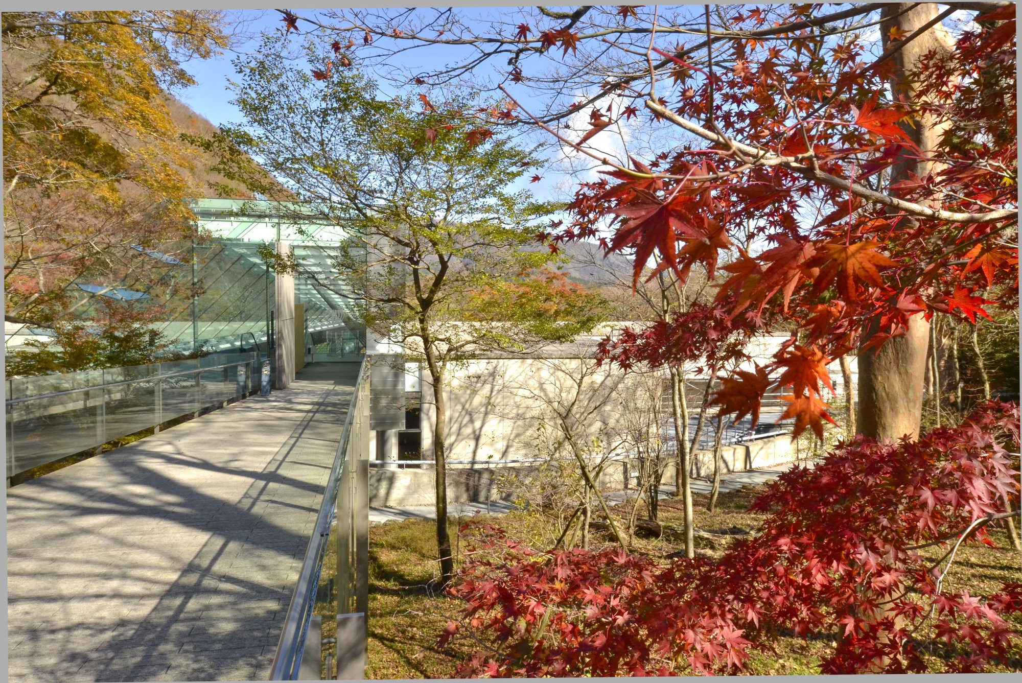 ポーラ美術館紅葉エントランス