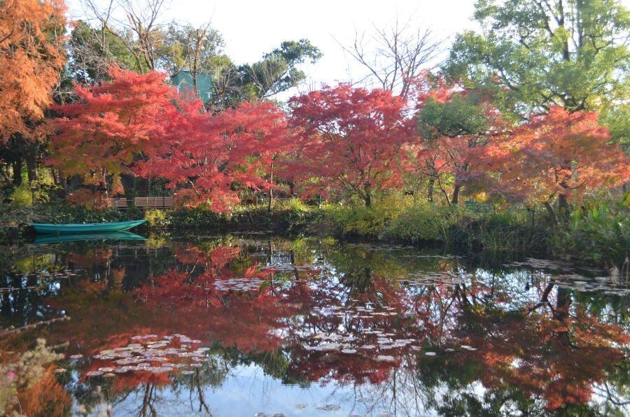 モネの庭画像提供一般社団法人 高知県東部観光協議会