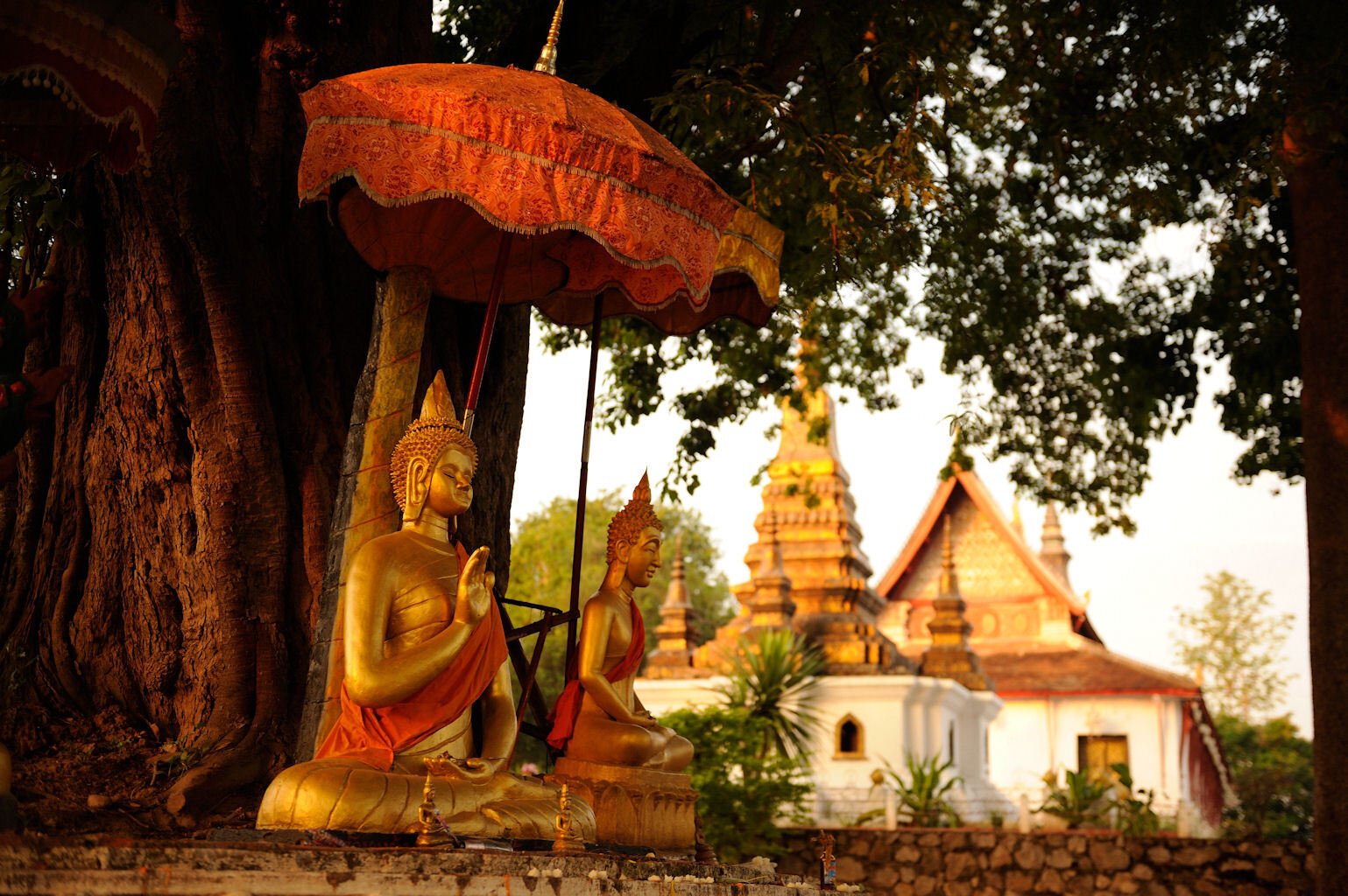 ワット・タートルアンの朝