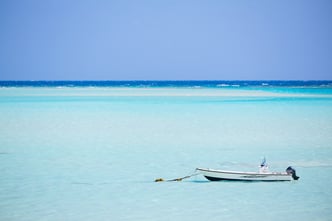 与論島百合が浜