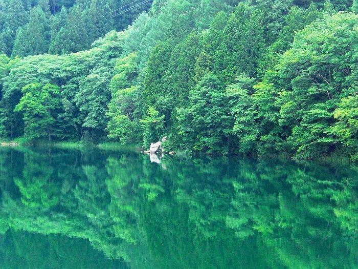 中綱湖