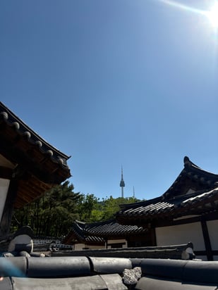 南山コル韓屋村からソウルタワー