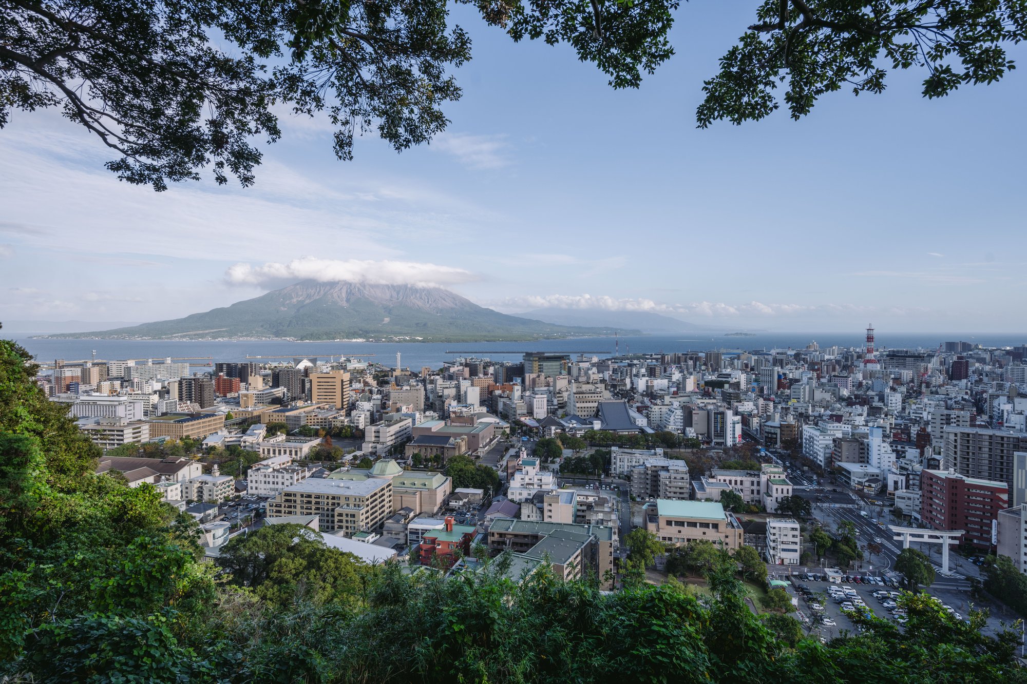 城山鹿児島市内