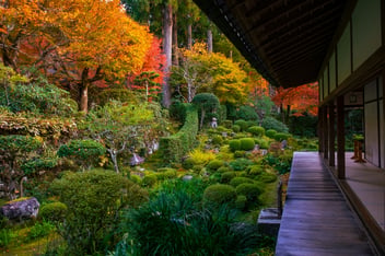 大原三千院_紅葉_ACフリー