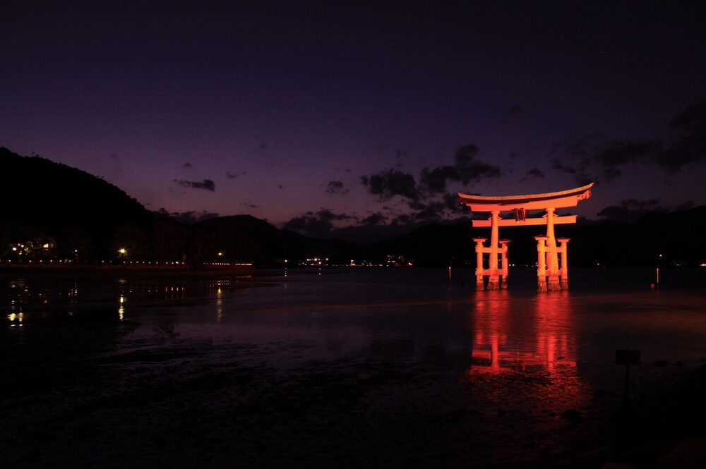 大鳥居1夜景
