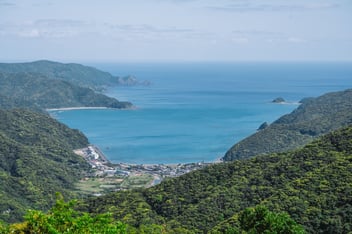 奄美大島3