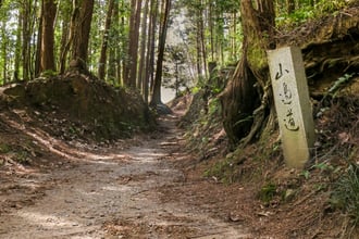 山の辺フリー