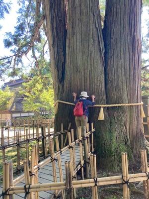 戸隠中社神社