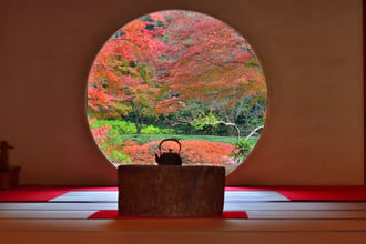 明月院_紅葉フリー