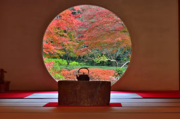 明月院_紅葉フリー