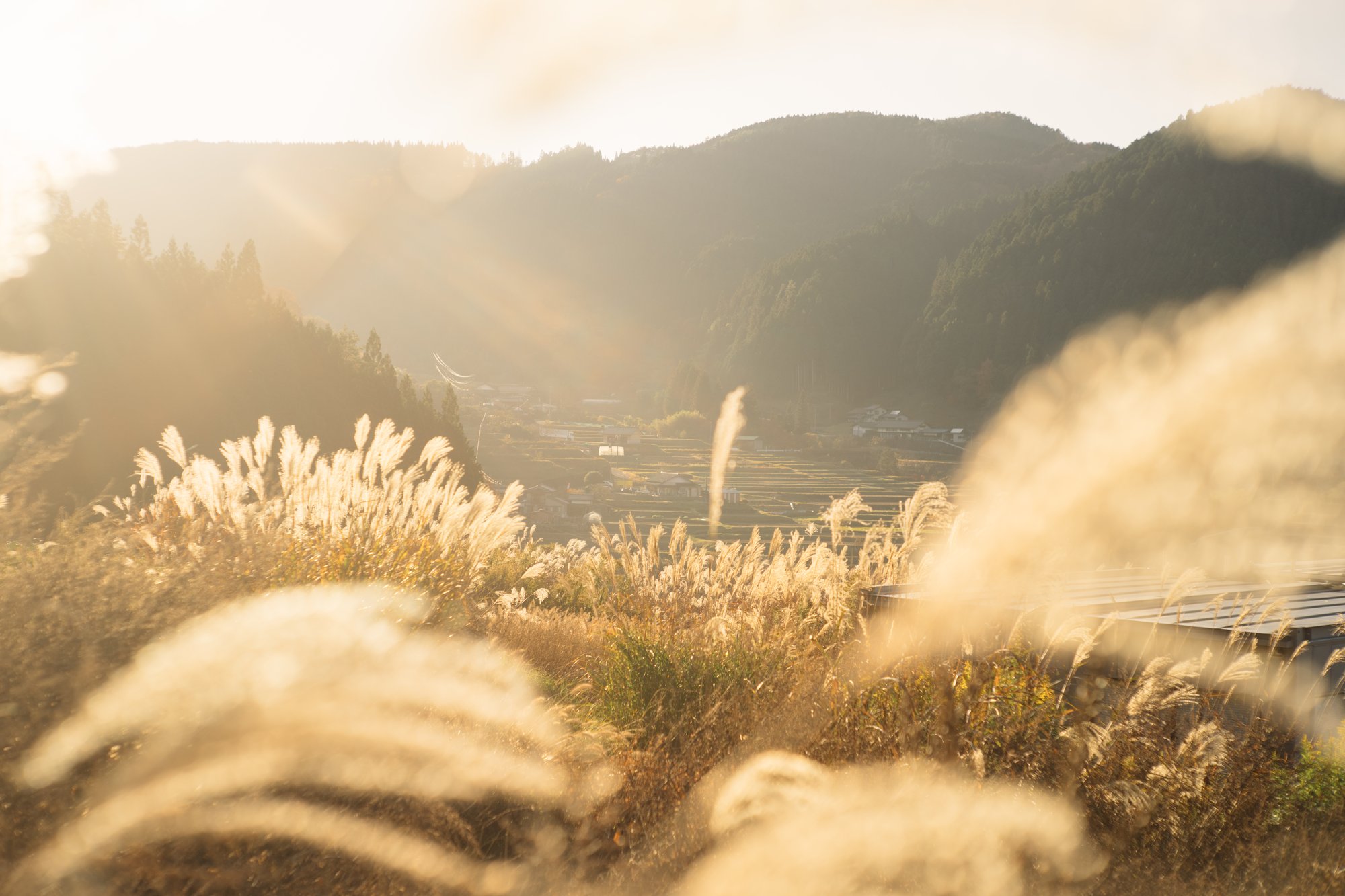 根羽村風景