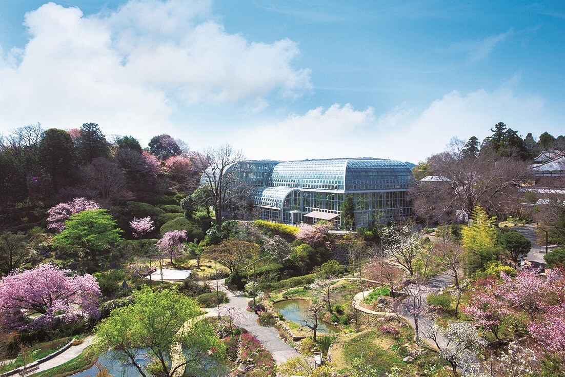 植物園_提供高知県観光コンベンション協会・jpg