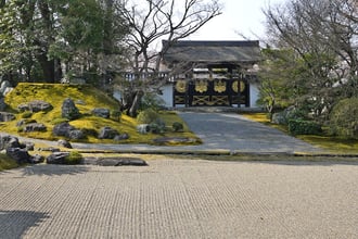 醍醐寺写真協力 フネカワフネオ photo53.com 