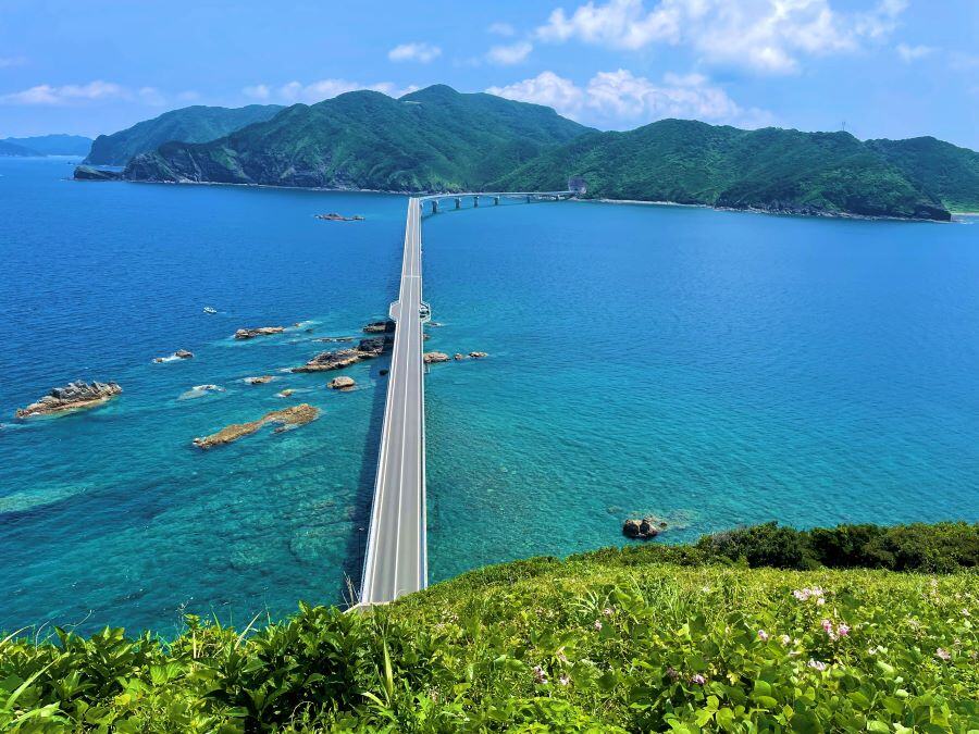 鳥ノ巣山展望所から見た甑大橋c薩摩川内市