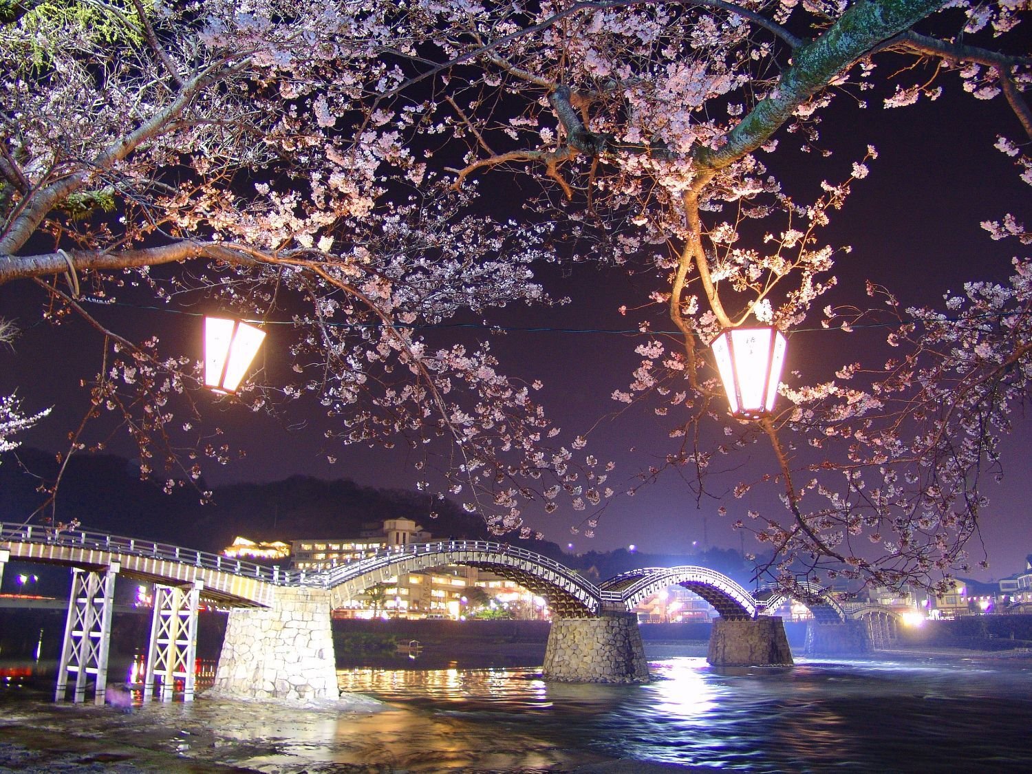 10011_錦帯橋 夜桜