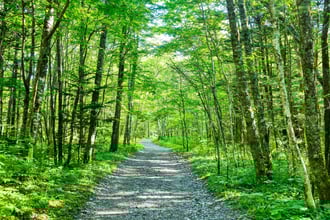 126_上高地 遊歩道