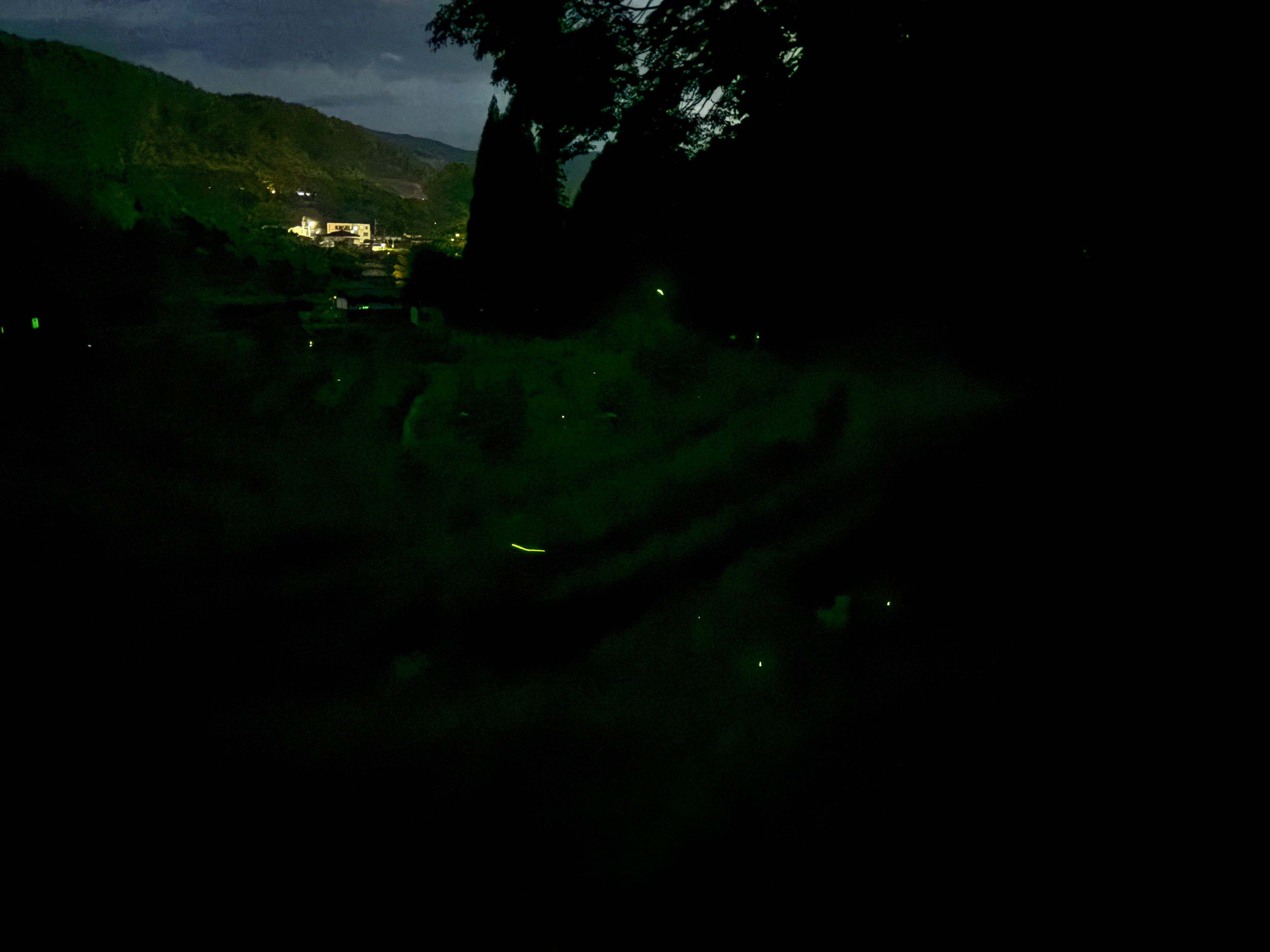 20260618_110643618_iOS