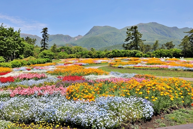 くじゅう花公園イメージ