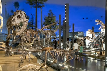 4500_福井県立恐竜博物館