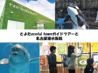 ECOFUL