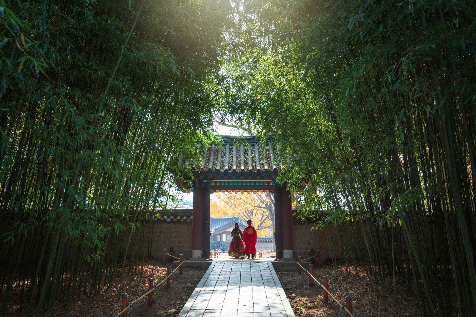 Into the Bamboo Forest