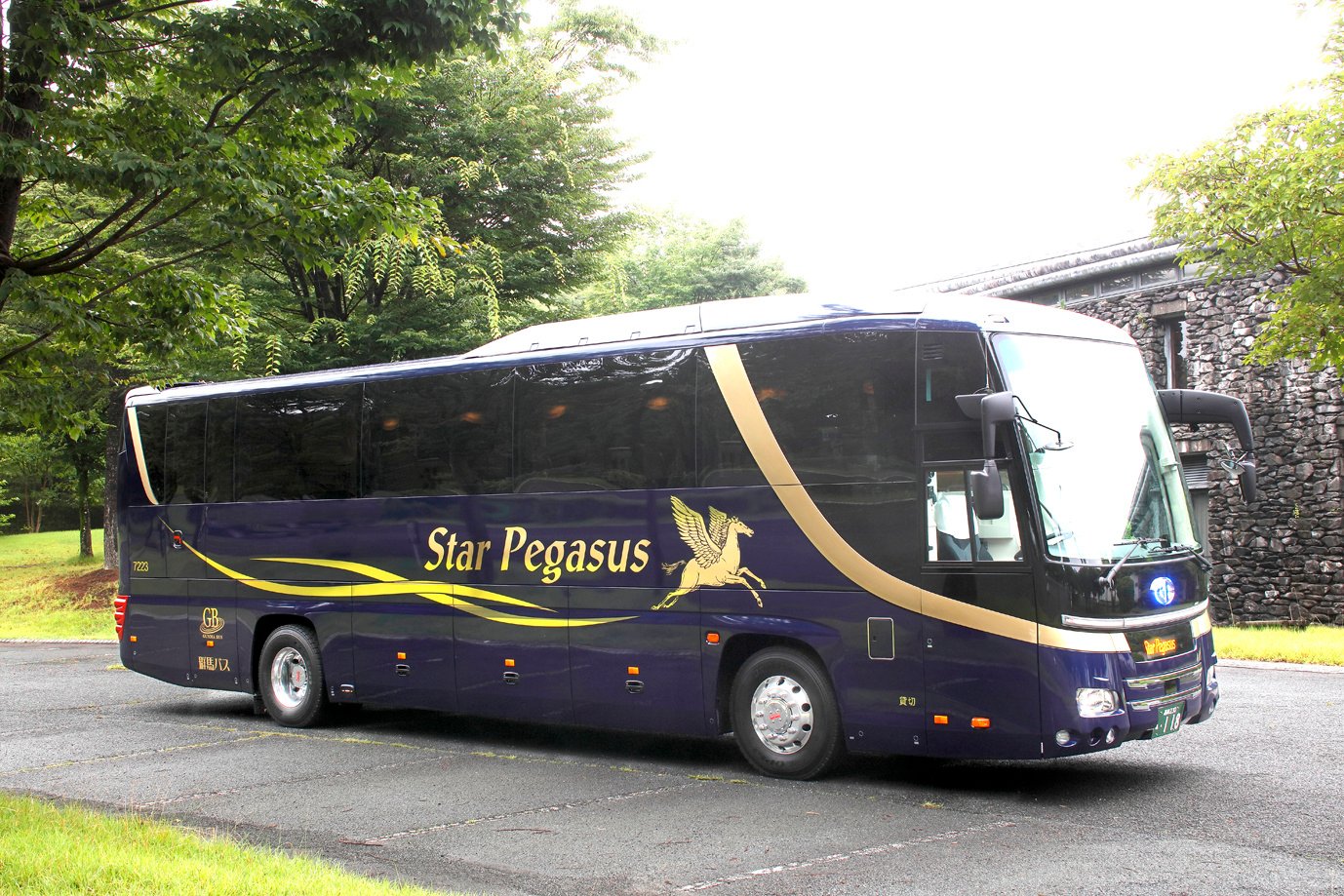 N_J6A8477Bsmall_スターペガサス