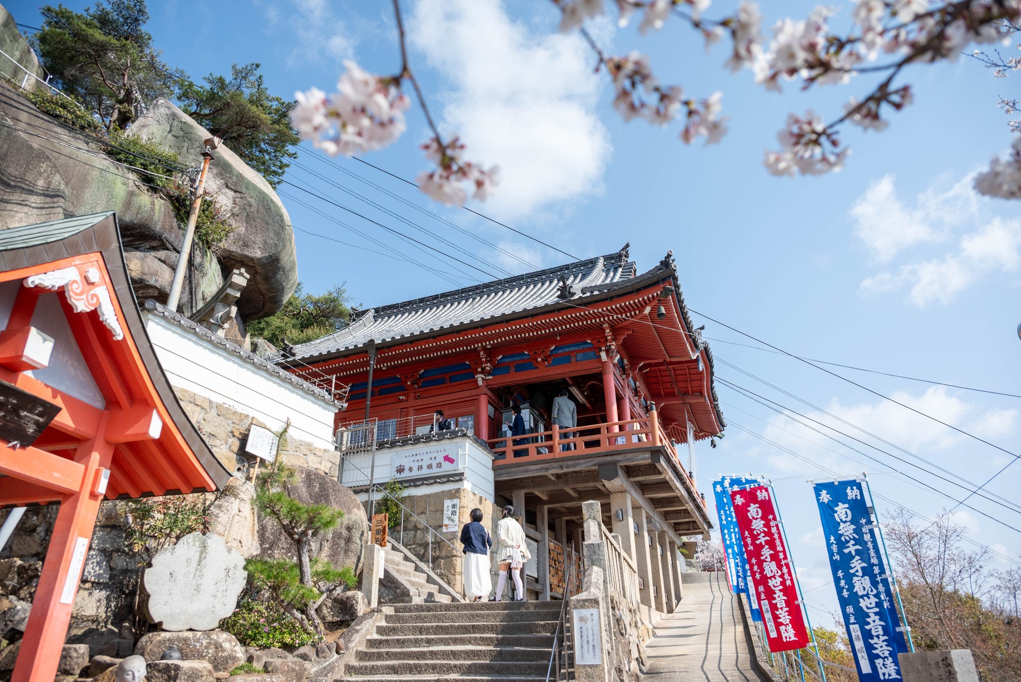 No7635_桜と千光寺本堂