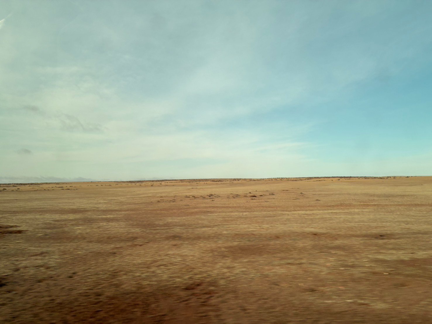 S__106848275_0