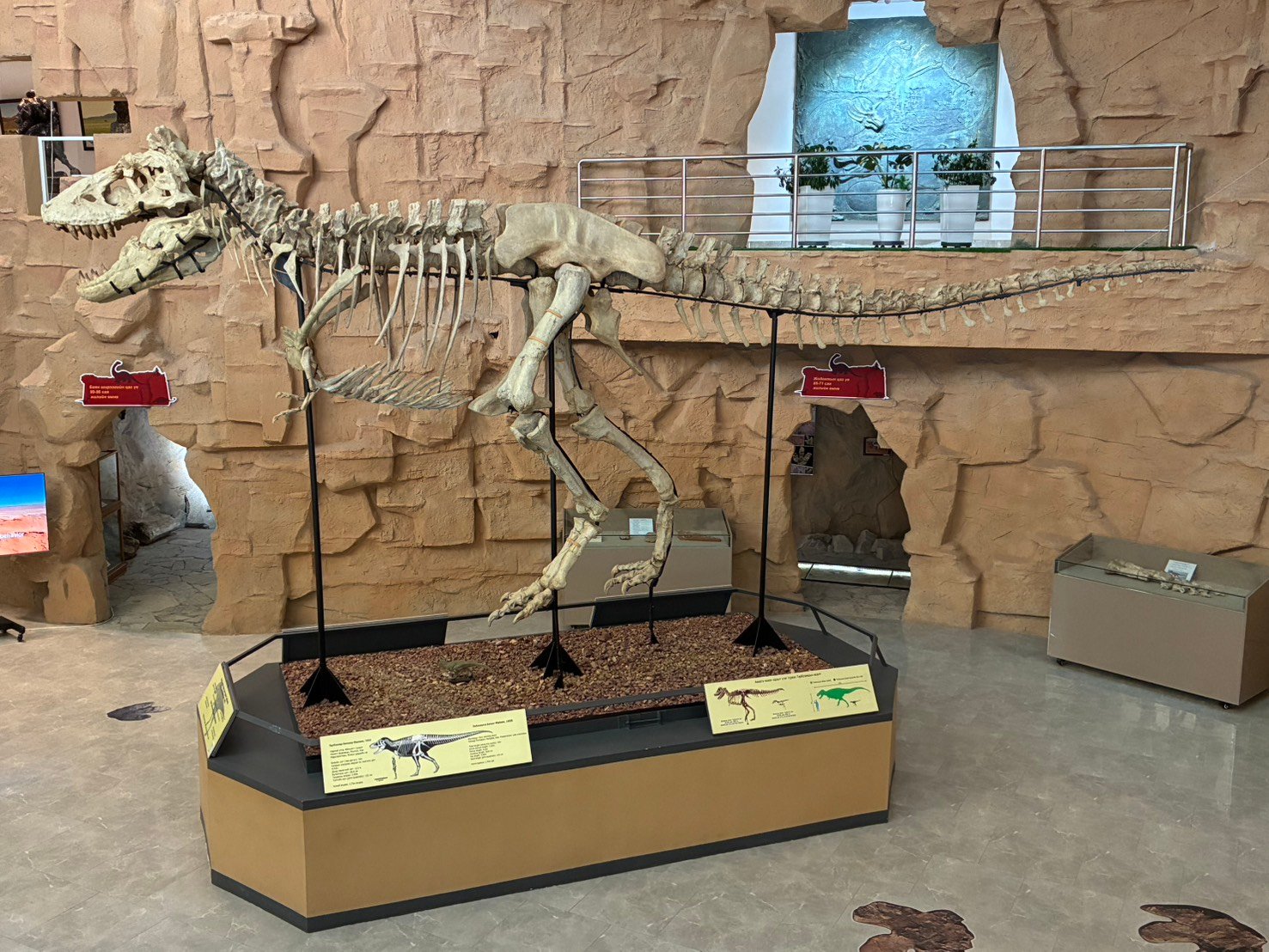 S__106848416_0ゴビ自然史博物館