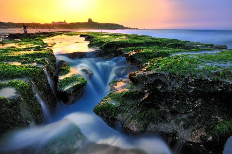 Spring of Greens at Laomei Coast