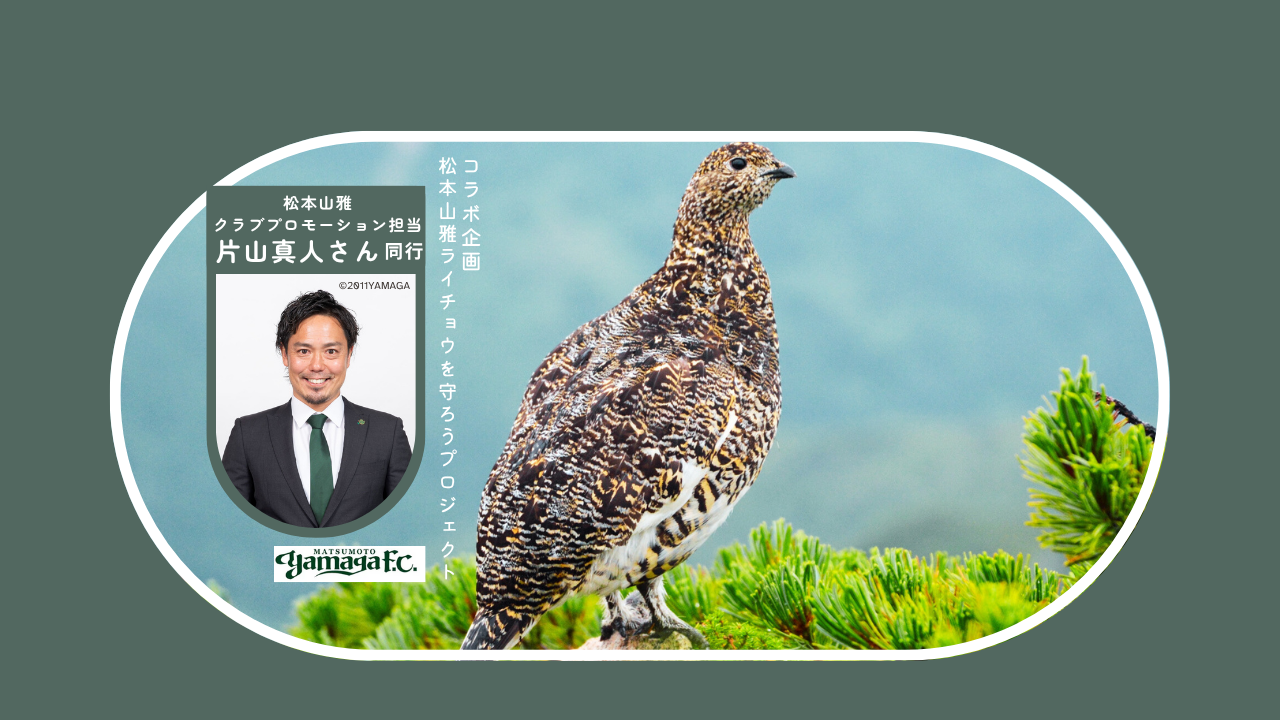 YAMAGA_BA-1