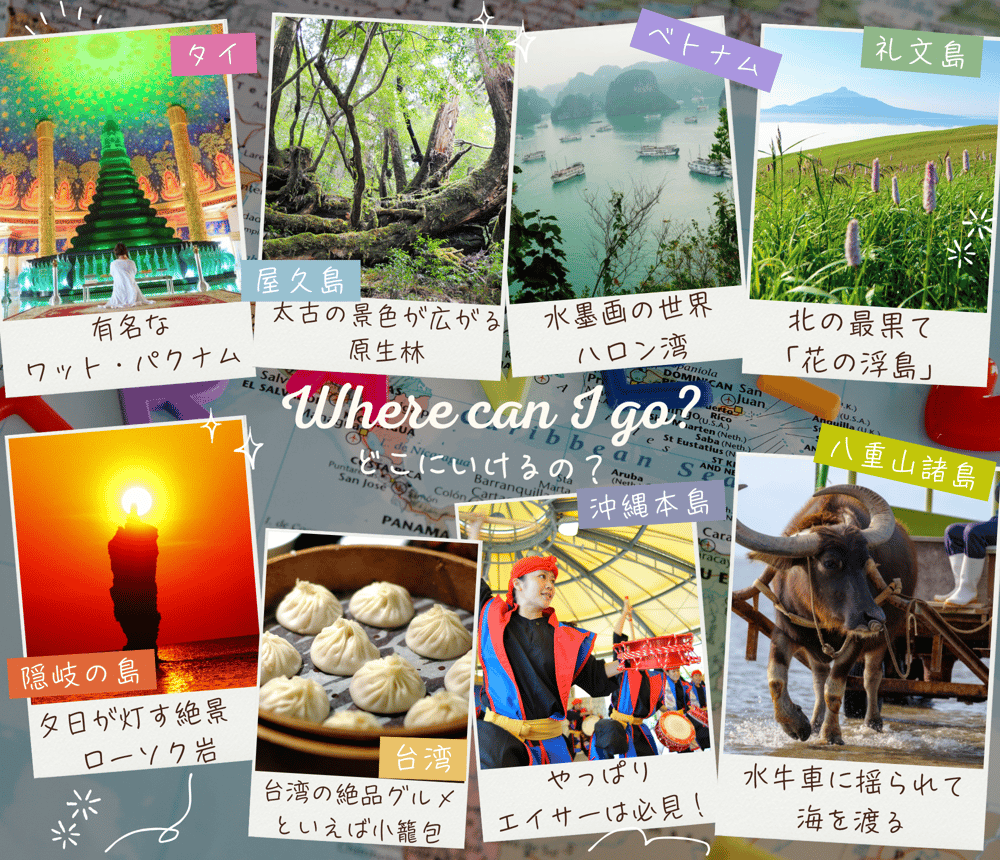 wherecanigo wherecanigo