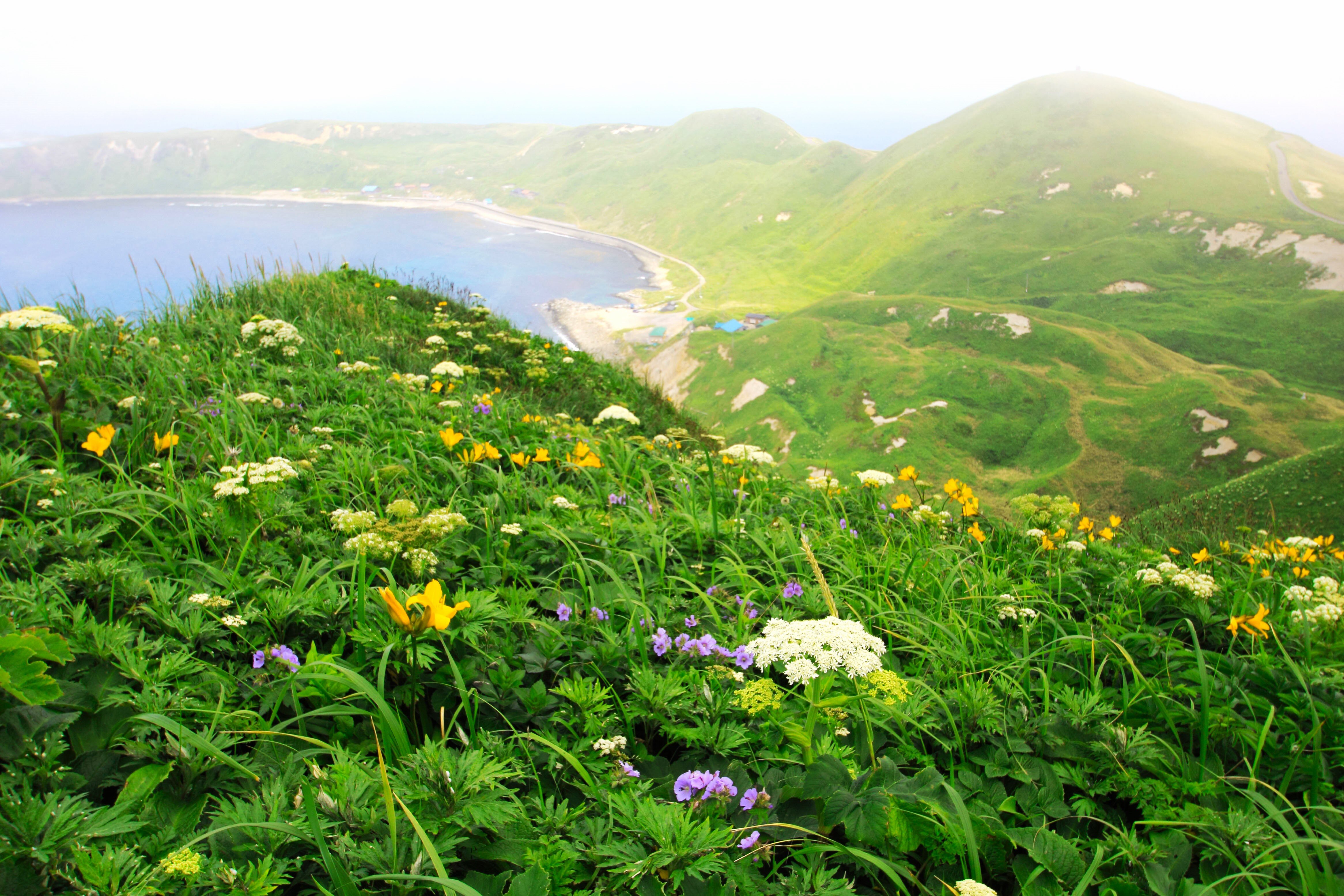利尻島・礼文島・稚内