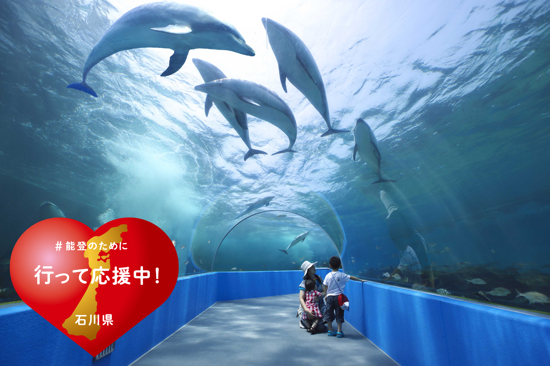 のとじま水族館-2