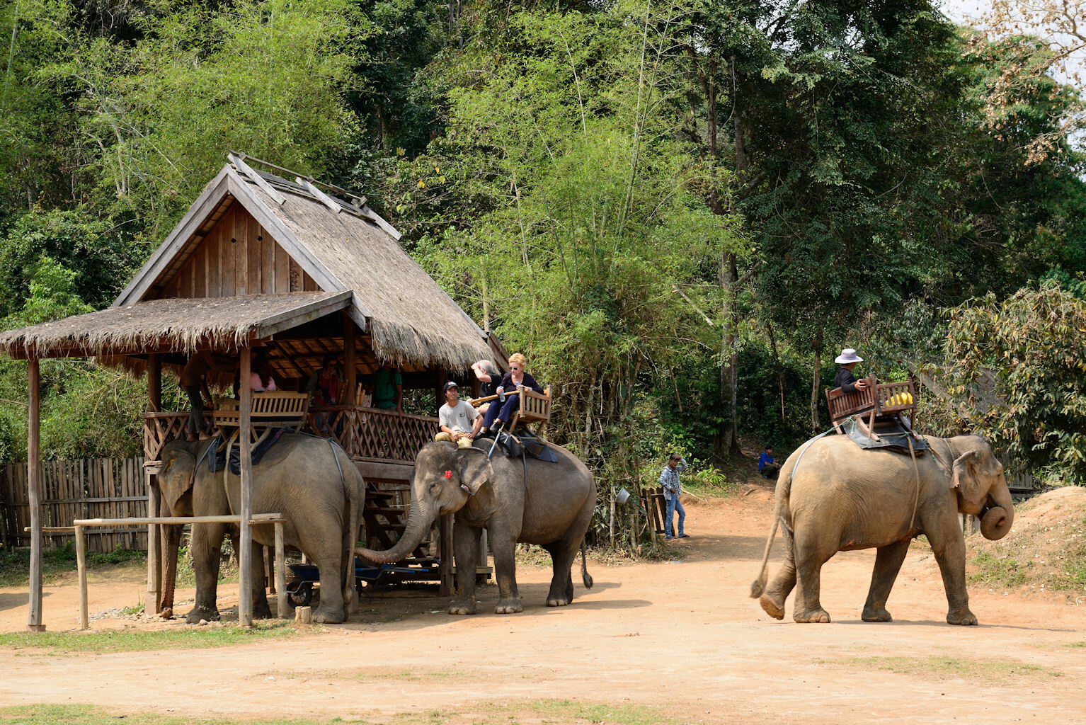 エレファントライド2