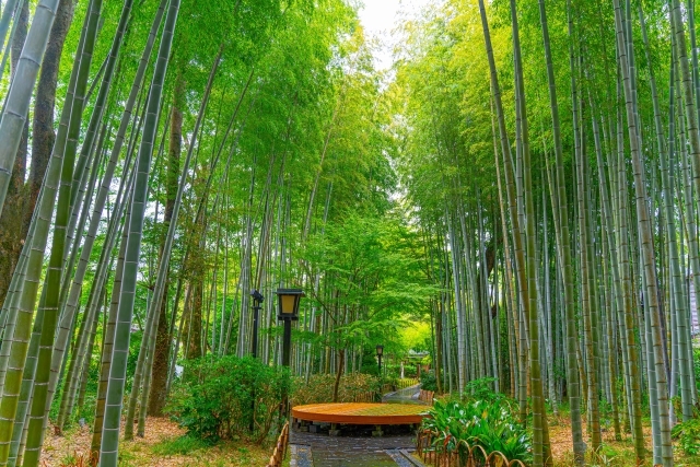 修善寺_ACフリー