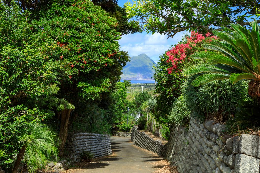 八丈島／大里の玉石垣-1