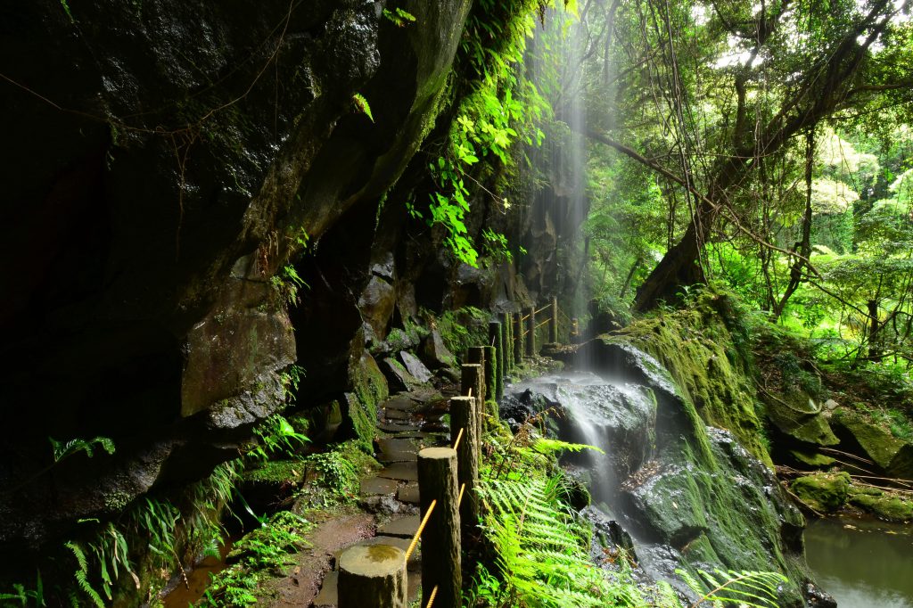 八丈島／裏見ヶ滝