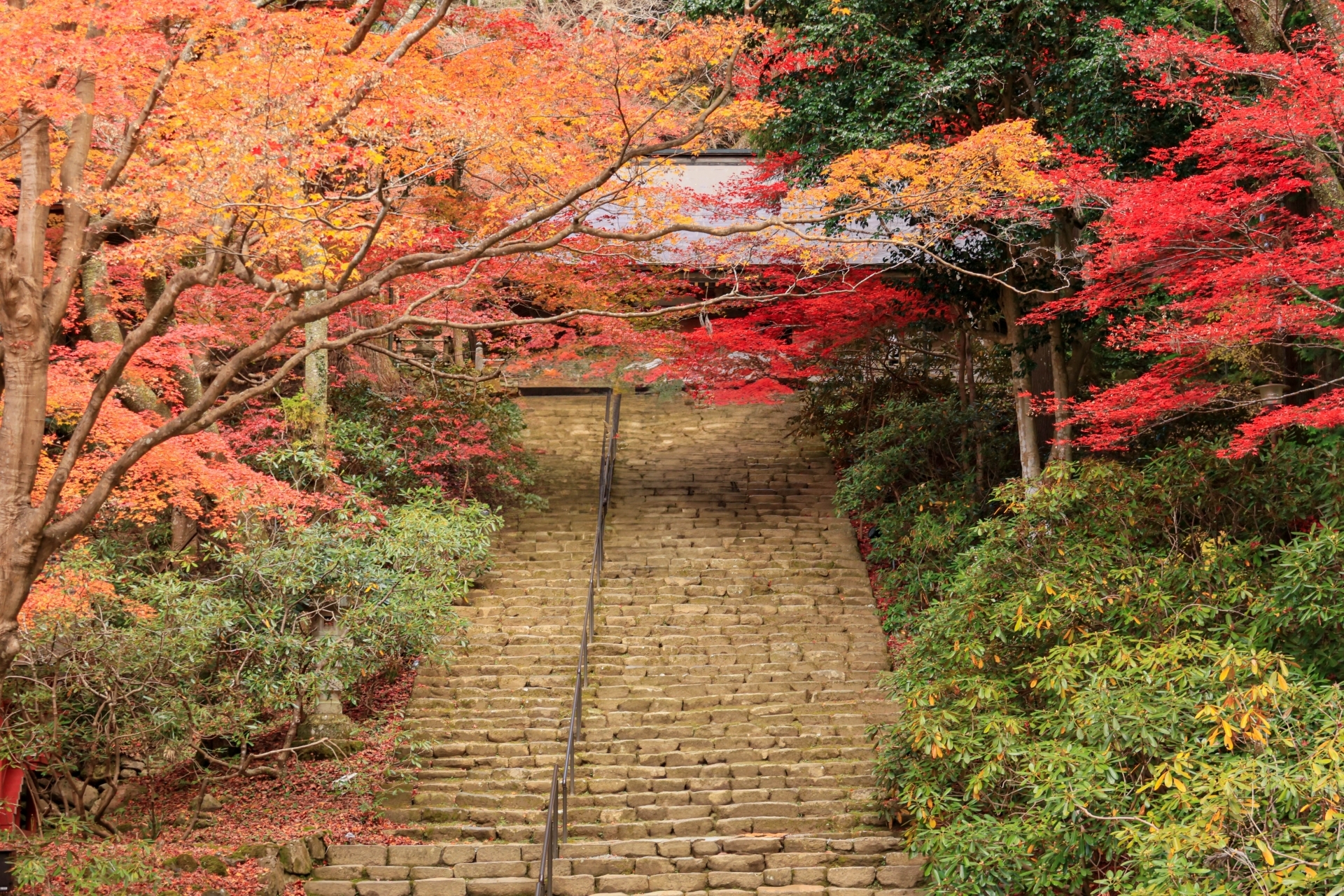 室生寺