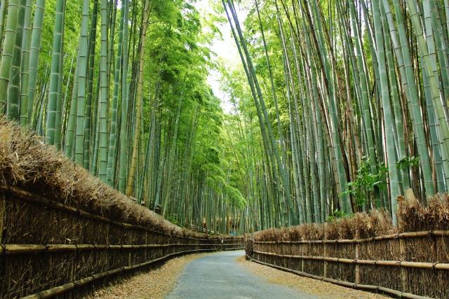 嵐山／竹林の小径／写真AC