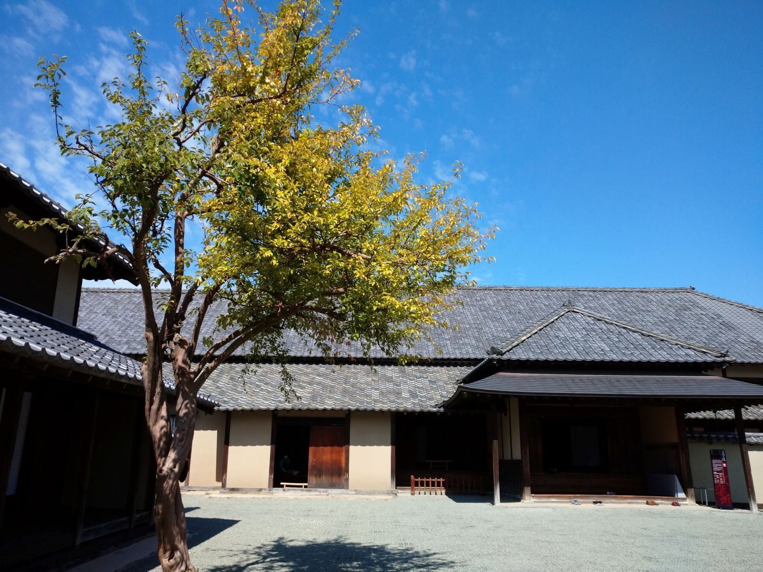 文武学校2