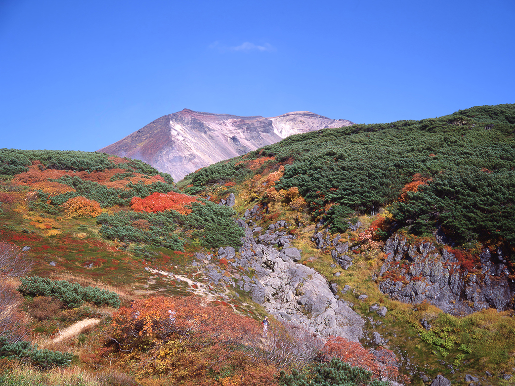 旭岳　紅葉