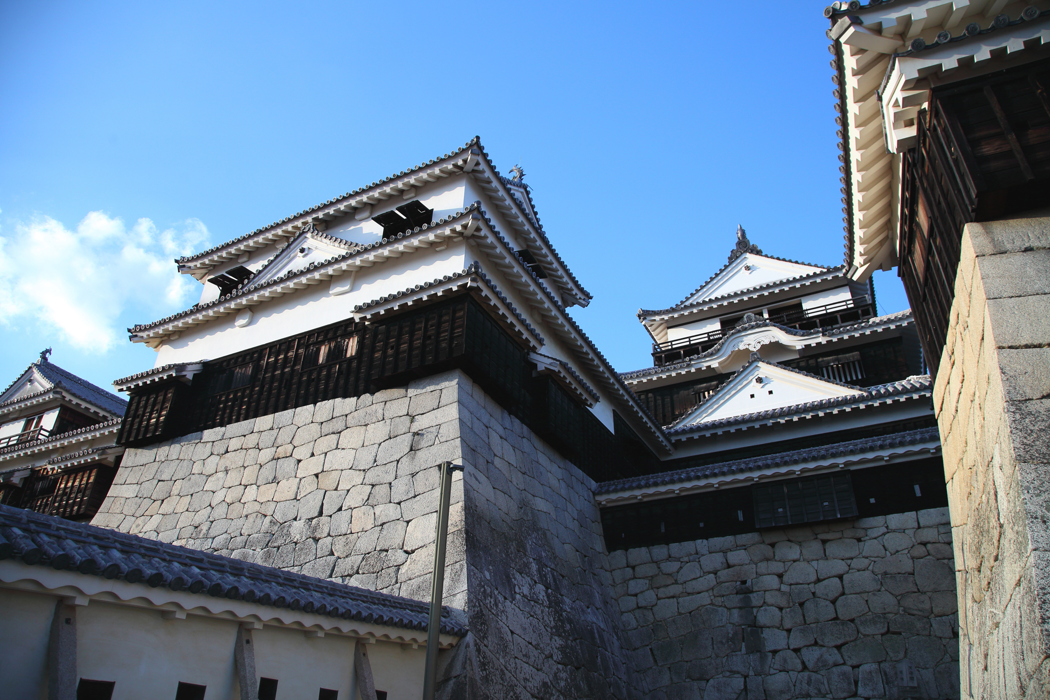松山城天守／現在12天守の一つ、場内21棟の建物が国の重要文化財に指定されている名城