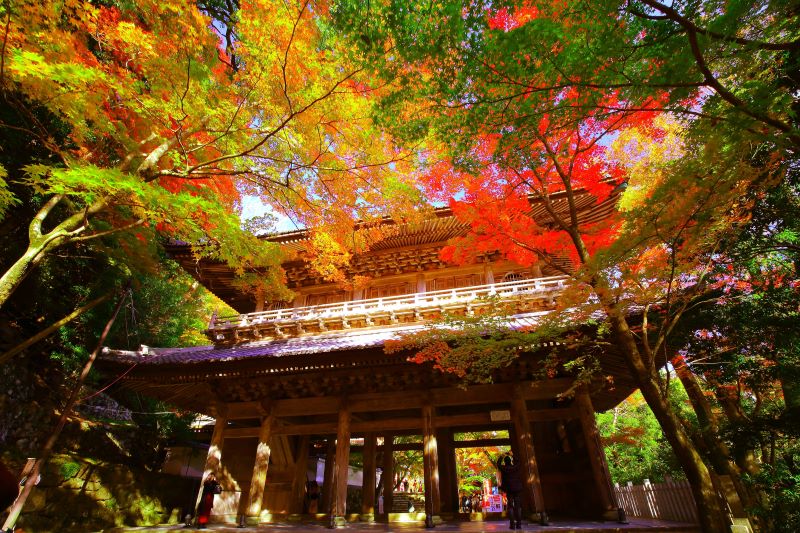 永源寺リサイズ