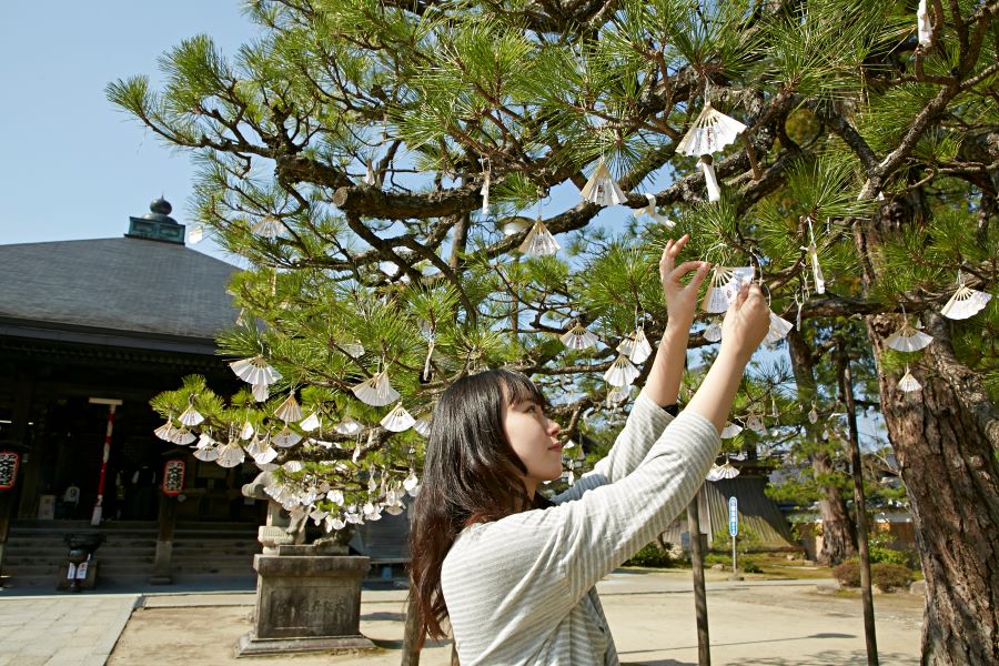 知恩寺