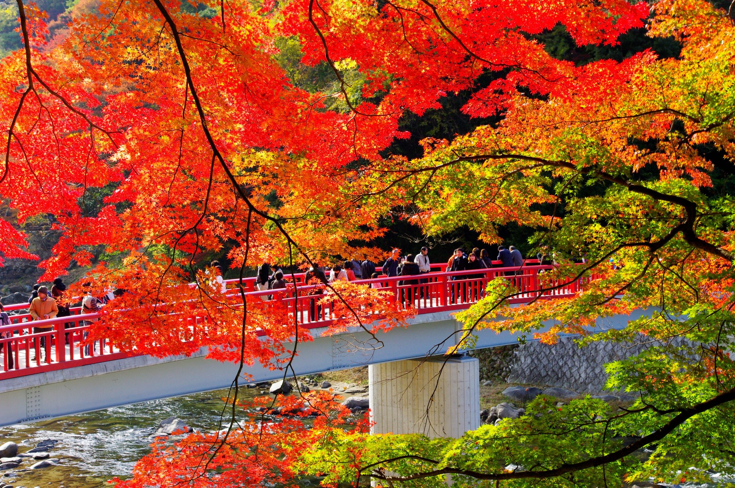 秋_香嵐渓１ RESIZE