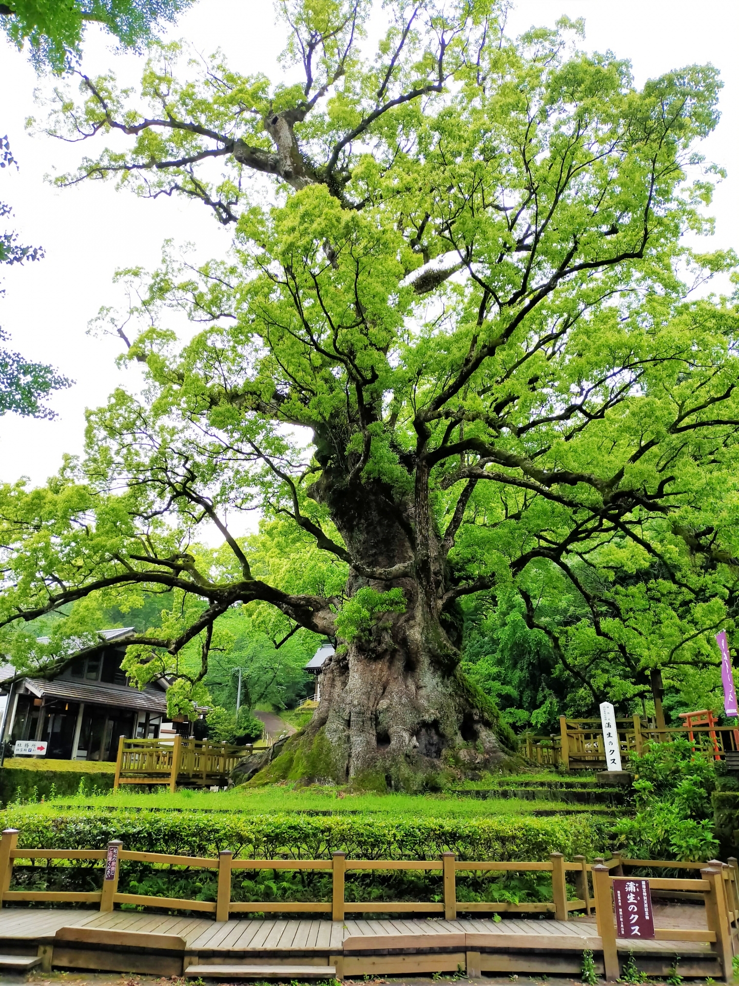 蒲生八幡神社