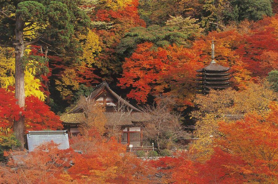 談山神社リサイズ