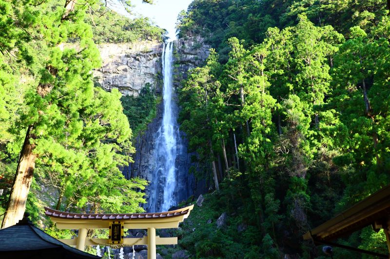 那智の滝写真提供公益社団法人 和歌山県観光連盟