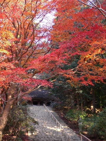 鎧阪と紅葉_室生寺_写真提供一般財団法人奈良県ビジターズビューロー2